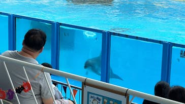 伊豆・三津シーパラダイスに投稿された画像（2024/10/6）