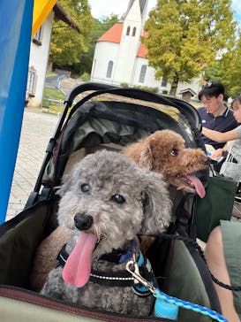 野外民族博物館 リトルワールドに投稿された画像（2024/10/6）