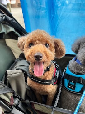 野外民族博物館 リトルワールドに投稿された画像（2024/10/6）