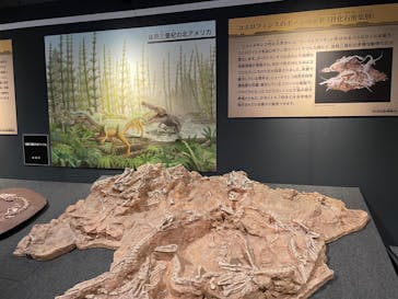 福井県立恐竜博物館に投稿された画像（2024/10/6）