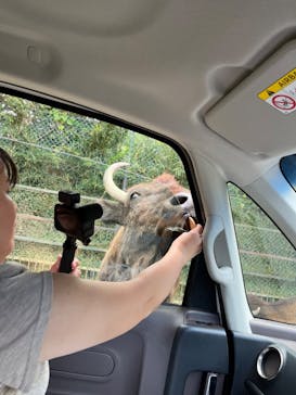 那須サファリパークに投稿された画像（2024/10/6）