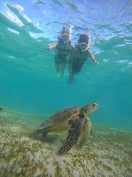 nico 宮古島に投稿された画像（2024/10/6）