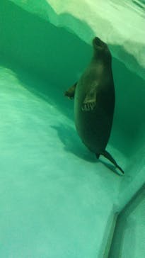 滋賀県立琵琶湖博物館に投稿された画像（2024/10/6）