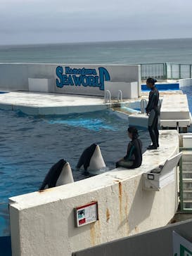 鴨川シーワールドに投稿された画像（2024/10/6）