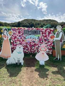 ニジゲンノモリに投稿された画像（2024/10/6）