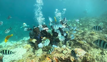 武藤潜水に投稿された画像（2024/10/6）