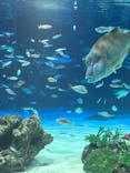 サンシャイン水族館に投稿された画像（2024/10/6）