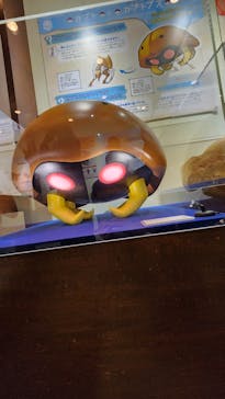 岐阜県博物館に投稿された画像（2024/10/6）