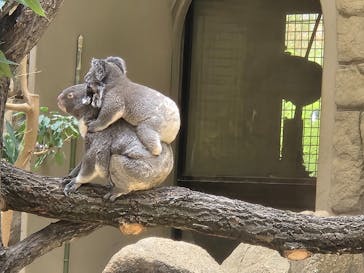 名古屋市東山動植物園に投稿された画像（2024/10/6）