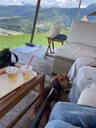 石打丸山スキー場 / ザ・ヴェランダ石打丸山に投稿された画像（2024/10/6）