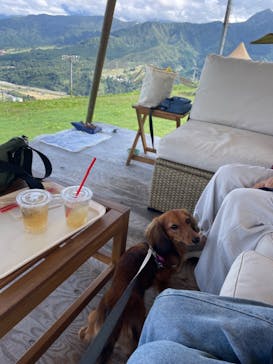 石打丸山スキー場 / ザ・ヴェランダ石打丸山に投稿された画像（2024/10/6）