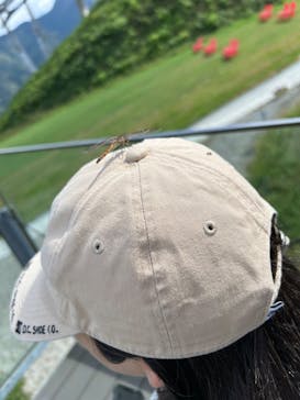 石打丸山スキー場 / ザ・ヴェランダ石打丸山に投稿された画像（2024/10/6）