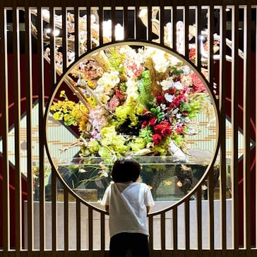 スマートアクアリウム静岡に投稿された画像（2024/10/6）