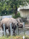 名古屋市東山動植物園に投稿された画像（2024/10/6）
