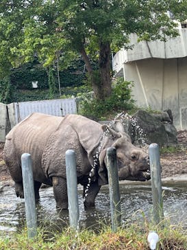 名古屋市東山動植物園に投稿された画像（2024/10/6）