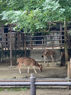 名古屋市東山動植物園に投稿された画像（2024/10/6）