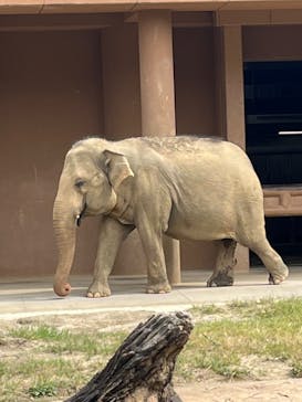名古屋市東山動植物園に投稿された画像（2024/10/6）