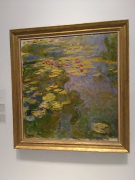 モネ 睡蓮のとき（国立西洋美術館）に投稿された画像（2024/10/6）