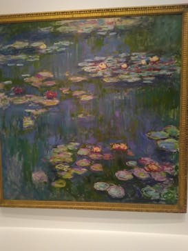 モネ 睡蓮のとき（国立西洋美術館）に投稿された画像（2024/10/6）