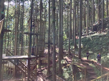 フォレストアドベンチャー・祖谷に投稿された画像（2024/10/6）