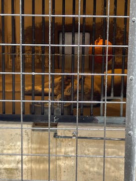 名古屋市東山動植物園に投稿された画像（2024/10/6）