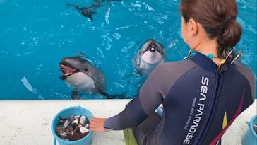 横浜・八景島シーパラダイスに投稿された画像（2024/10/6）