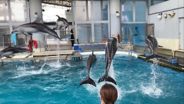 横浜・八景島シーパラダイスに投稿された画像（2024/10/6）