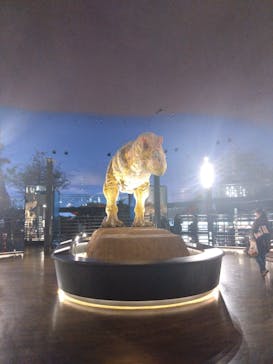 福井県立恐竜博物館に投稿された画像（2024/10/6）