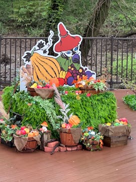 ムーミンバレーパークに投稿された画像（2024/10/6）