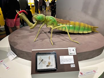 特別展「昆虫 MANIAC」（国立科学博物館）に投稿された画像（2024/10/6）