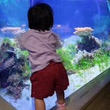 名古屋港水族館に投稿された画像（2024/10/6）