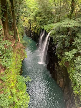 途易集団日本株式会社に投稿された画像（2024/10/6）