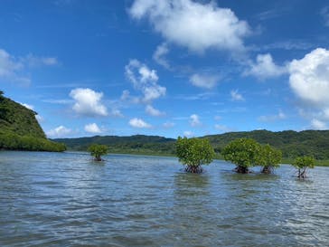 西表島 ADVENTURE PiPi（アドベンチャーピピ）に投稿された画像（2024/10/6）