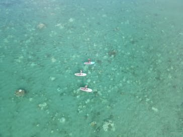 奄美シーランドに投稿された画像（2024/10/6）