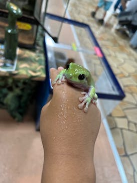 いきもの探検隊上尾に投稿された画像（2024/10/6）