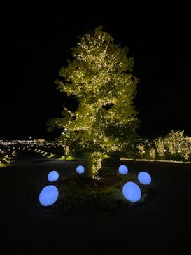 いばらきフラワーパークに投稿された画像（2024/10/6）