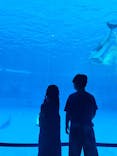 名古屋港水族館に投稿された画像（2024/10/6）