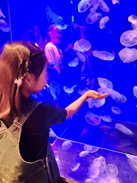 名古屋港水族館に投稿された画像（2024/10/6）