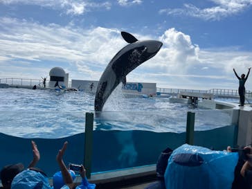 鴨川シーワールドに投稿された画像（2024/10/6）