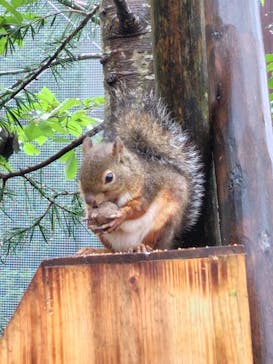 那須どうぶつ王国に投稿された画像（2024/10/6）