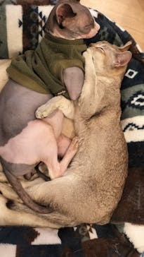 つくばわんわんランドに投稿された画像（2024/10/6）