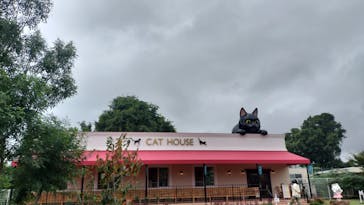 つくばわんわんランドに投稿された画像（2024/10/6）