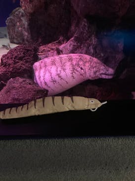 サンシャイン水族館に投稿された画像（2024/10/6）