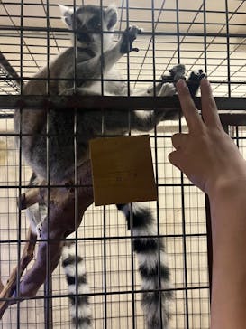 伊豆シャボテン動物公園に投稿された画像（2024/10/6）