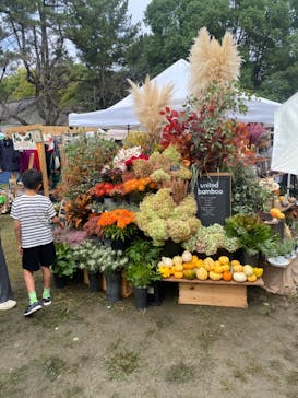 名古屋城に投稿された画像（2024/10/6）