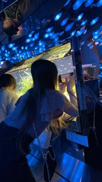 AQUARIUM × ART　atoa×felissimo chocolate museum（フェリシモ チョコレート ミュージアム）に投稿された画像（2024/10/6）