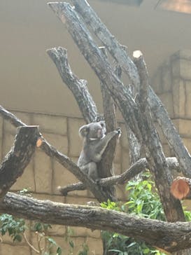 名古屋市東山動植物園に投稿された画像（2024/10/6）