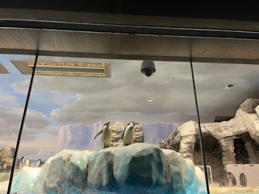 名古屋港水族館に投稿された画像（2024/10/6）