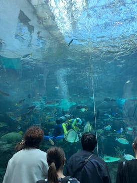 名古屋港水族館に投稿された画像（2024/10/6）