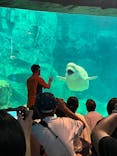 名古屋港水族館に投稿された画像（2024/10/7）